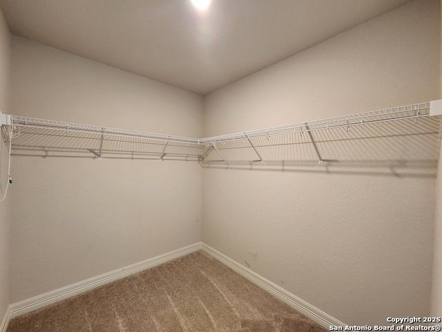 10614 Jasmine Bluff, San Antonio, TX 78245