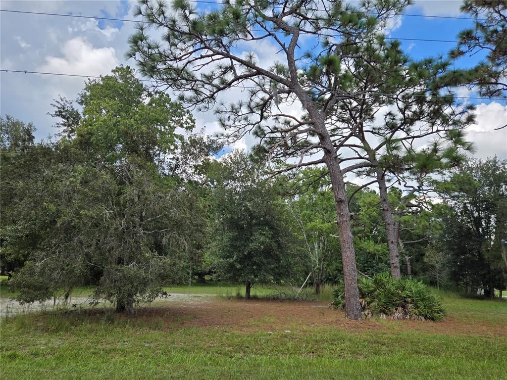 17901 DRIFTWOOD LANE, Lutz, FL 33558