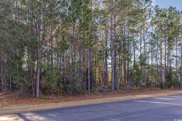 141 Planters Creek Dr., Myrtle Beach, SC 29579