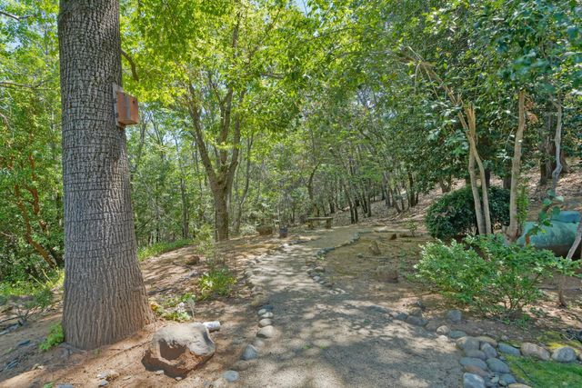 3120 Braden Rd, Camino, CA 95709