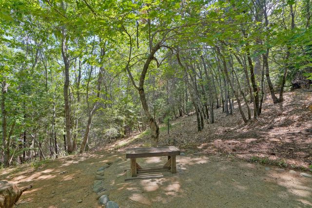 3120 Braden Rd, Camino, CA 95709