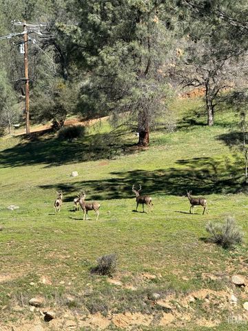 18266 Caliente Creek Road, Caliente, CA 93518