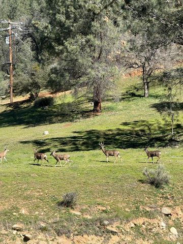 18266 Caliente Creek Road, Caliente, CA 93518