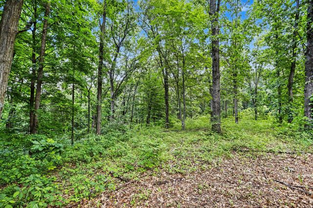 10642 Keller Road, Delton, MI 49046