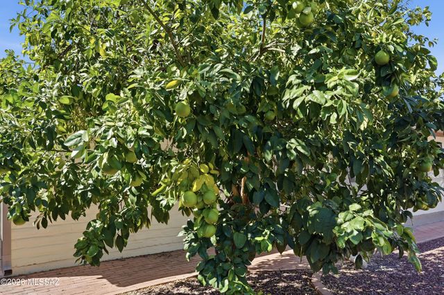 5221 E 4th Street, Tucson, AZ 85711