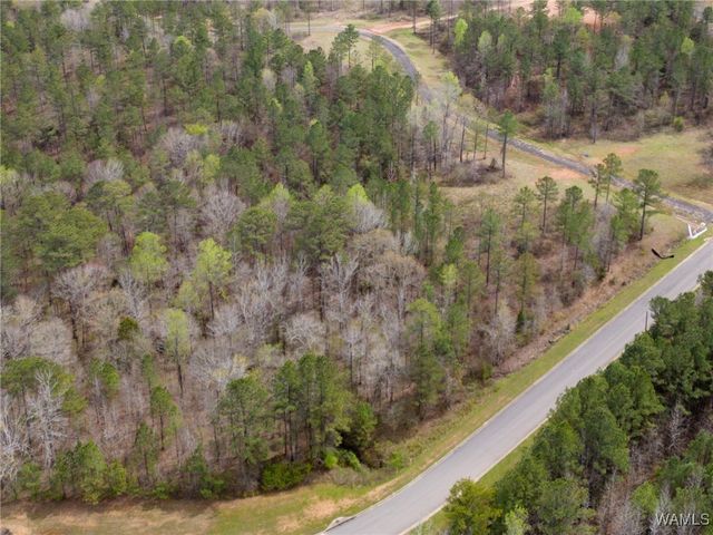 Lot 1 Pine Ridge, Coker, AL 35452