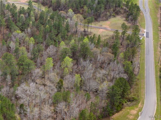 Lot 1 Pine Ridge, Coker, AL 35452