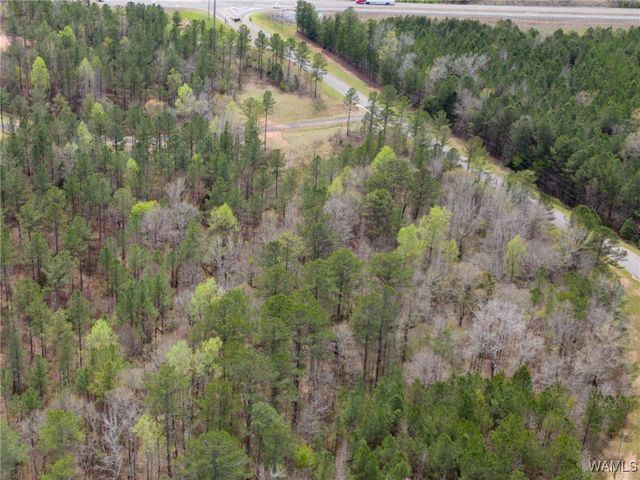 Lot 1 Pine Ridge, Coker, AL 35452