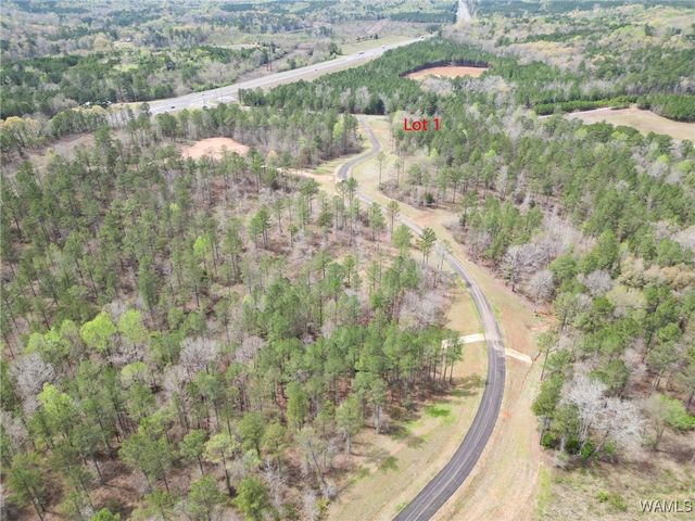 Lot 1 Pine Ridge, Coker, AL 35452