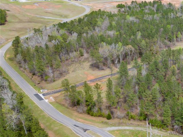 Lot 1 Pine Ridge, Coker, AL 35452