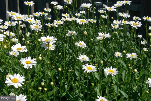 9204 BURBANK RD, Philadelphia, PA 19115