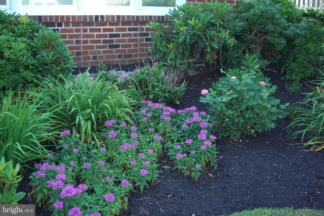 9204 BURBANK RD, Philadelphia, PA 19115