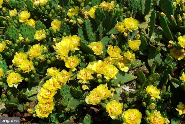 9204 BURBANK RD, Philadelphia, PA 19115