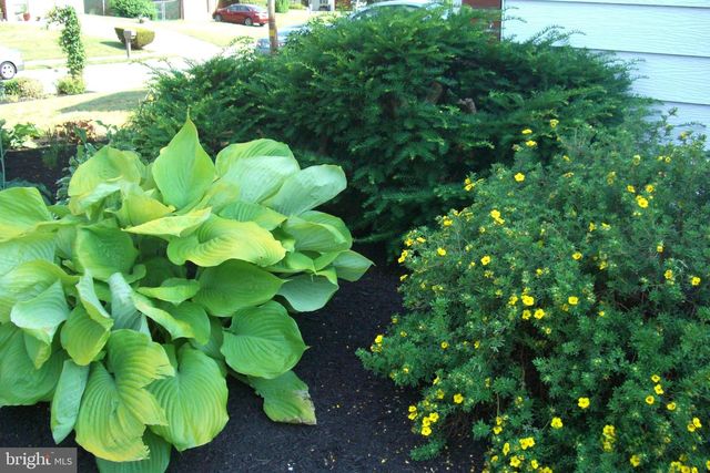 9204 BURBANK RD, Philadelphia, PA 19115