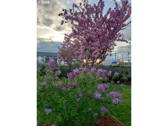 943 OREGON Way, Woodburn, OR 97071