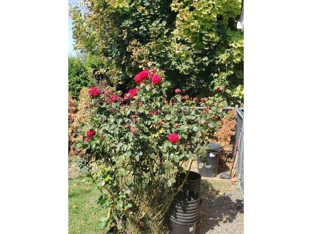 943 OREGON Way, Woodburn, OR 97071