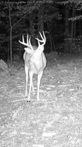 1414 Ossia Road, Duck, WV 25063
