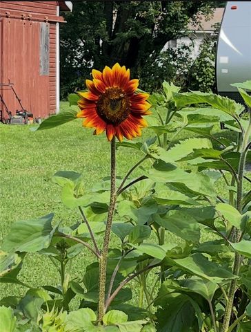 50 Depot Street, Colchester, NY 13755