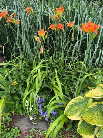 50 Depot Street, Colchester, NY 13755