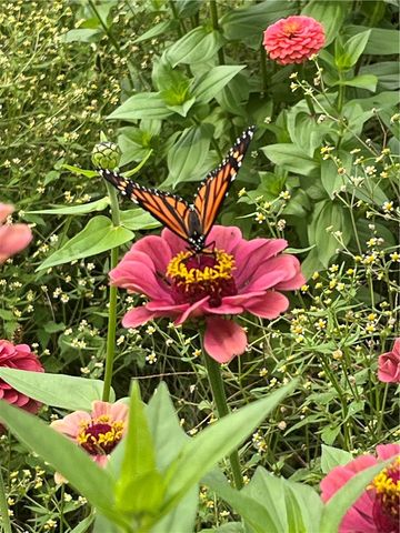 50 Depot Street, Colchester, NY 13755