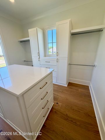 101 Lamour Pointe, Madison, MS 39110