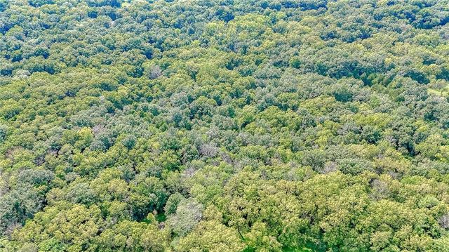 368 NW 131 Highway, Holden, MO 64040