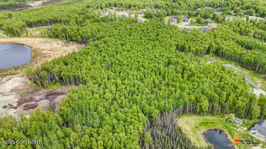 6458 W Creeksedge Drive, Wasilla, AK 99623