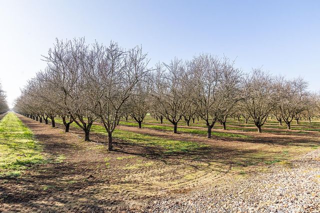 18041 Seidner Ave, Escalon, CA 95320