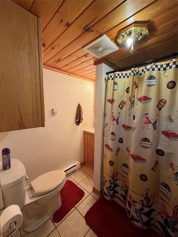10507 Hamblin Street, Hayward, WI 54843