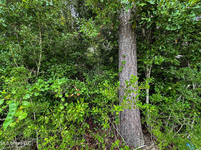 01 O Neal Road, Vancleave, MS 39565