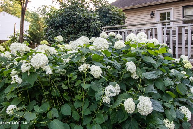 7 Mcelroy Drive, Lincroft, NJ 07738