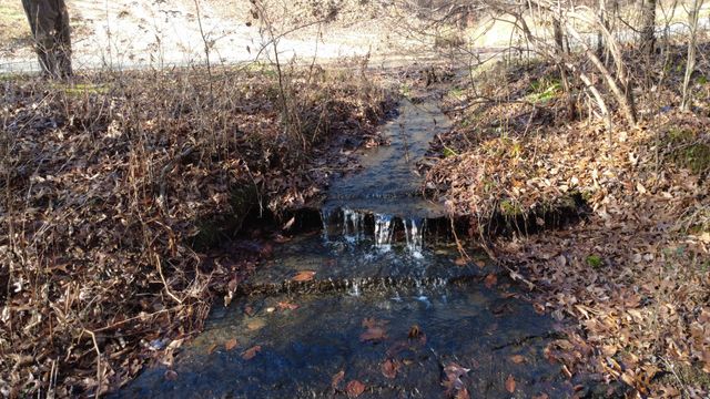 314 Burns Hollow Rd, Waynesboro, TN 38485