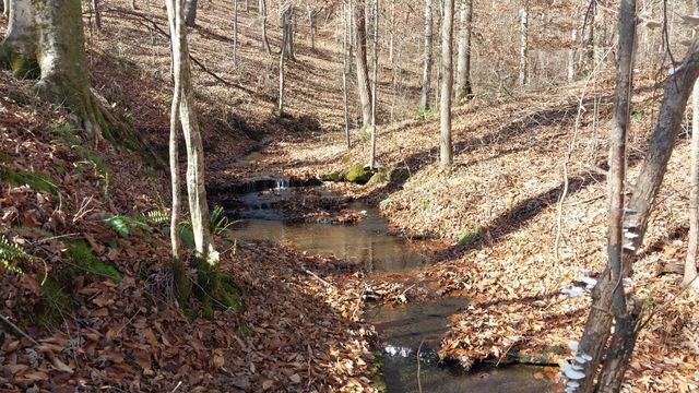 314 Burns Hollow Rd, Waynesboro, TN 38485