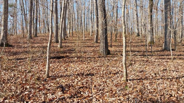 314 Burns Hollow Rd, Waynesboro, TN 38485