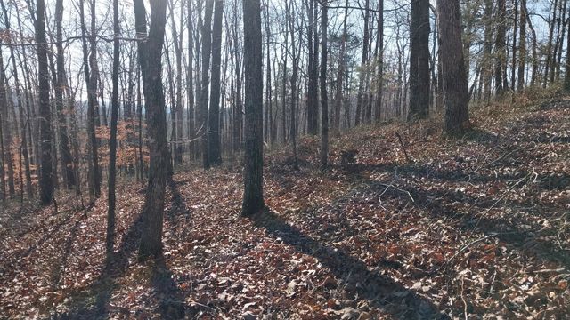 314 Burns Hollow Rd, Waynesboro, TN 38485