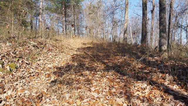 314 Burns Hollow Rd, Waynesboro, TN 38485