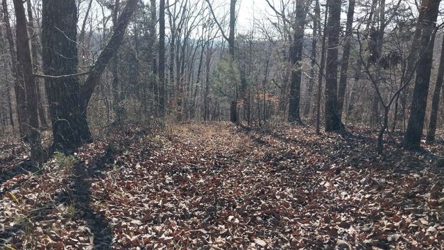 314 Burns Hollow Rd, Waynesboro, TN 38485