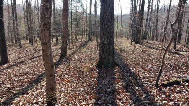 314 Burns Hollow Rd, Waynesboro, TN 38485