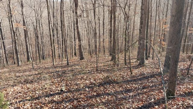 314 Burns Hollow Rd, Waynesboro, TN 38485