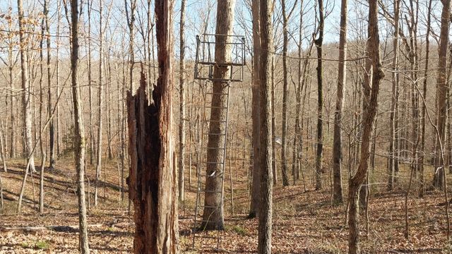 314 Burns Hollow Rd, Waynesboro, TN 38485