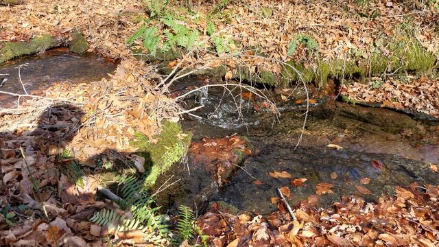 314 Burns Hollow Rd, Waynesboro, TN 38485