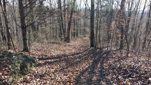 314 Burns Hollow Rd, Waynesboro, TN 38485