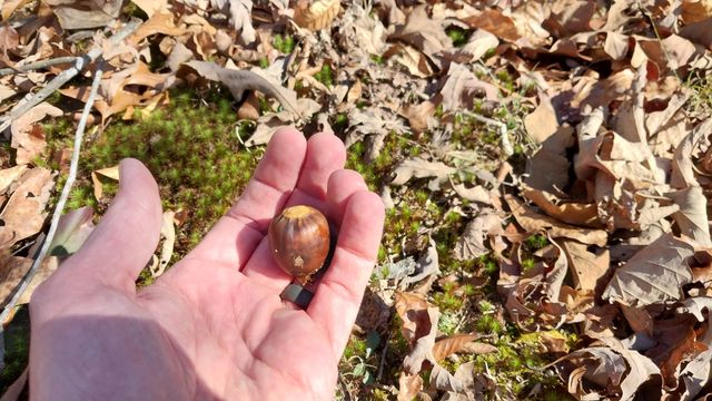 314 Burns Hollow Rd, Waynesboro, TN 38485