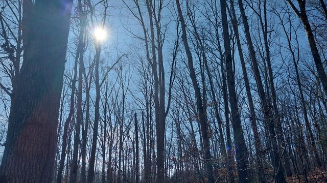 314 Burns Hollow Rd, Waynesboro, TN 38485