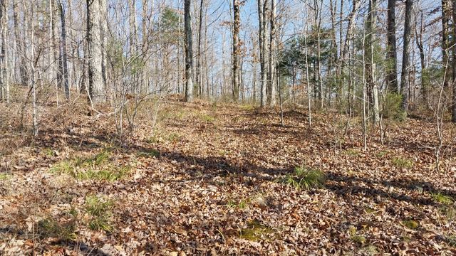 314 Burns Hollow Rd, Waynesboro, TN 38485