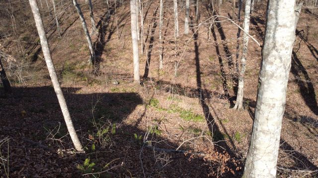 314 Burns Hollow Rd, Waynesboro, TN 38485