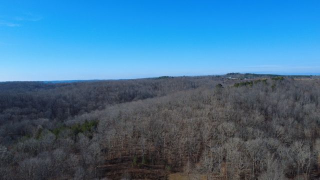 314 Burns Hollow Rd, Waynesboro, TN 38485