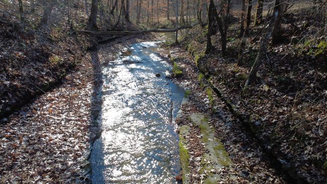 314 Burns Hollow Rd, Waynesboro, TN 38485