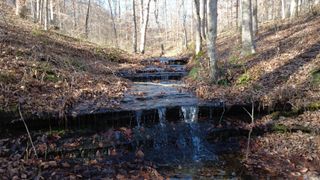 314 Burns Hollow Rd, Waynesboro, TN 38485