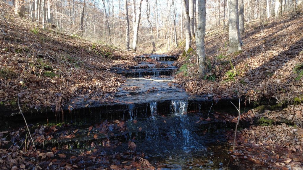 314 Burns Hollow Rd, Waynesboro, TN 38485